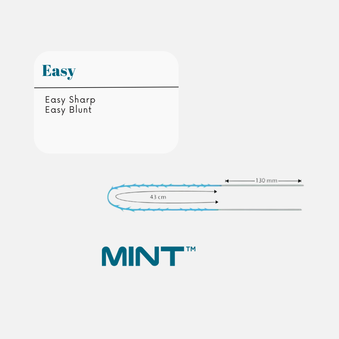Mint Easy