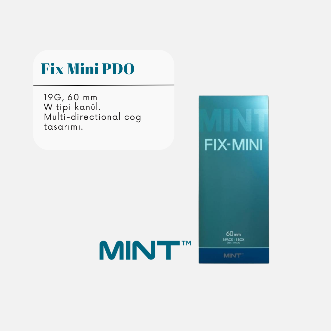 Mint Fix Mini